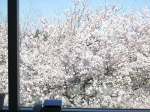 2012041208425374as
