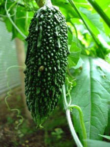 201207251629060b2s